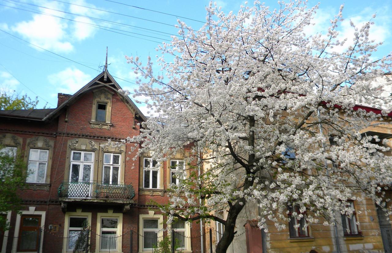 Studios At Anchevskih 3 Лвив Екстериор снимка